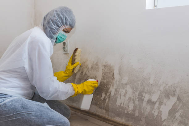 Best Mold Testing  in Bowleys Quarters, MD