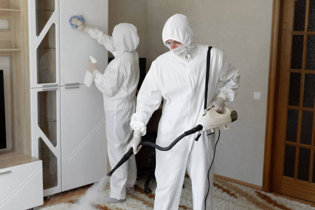 Mold Testing and Removal in Bowleys Quarters, MD