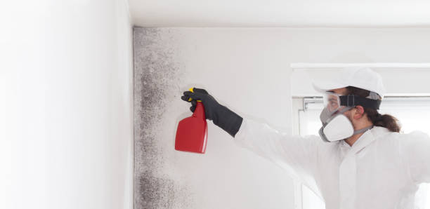 Best Emergency Mold Removal  in Bowleys Quarters, MD
