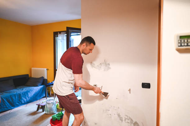 Best Professional Mold Removal  in Bowleys Quarters, MD