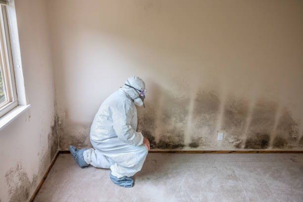 Best Residential Mold Removal  in Bowleys Quarters, MD