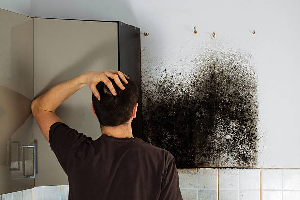 Best Crawl Space Mold Removal  in Bowleys Quarters, MD